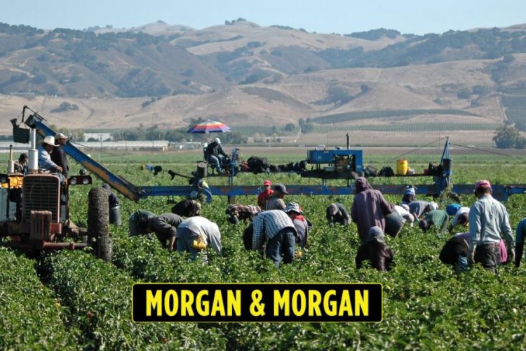 Novedades en leyes laborales para el 2022 en California. Conozca los